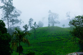 Ella Nature Resort